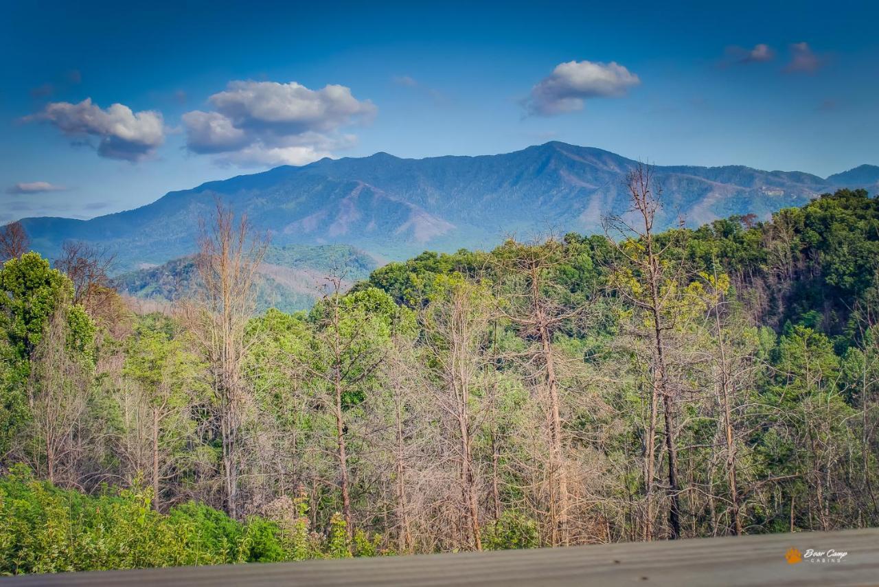 Majestic View Lodge, Amazing Views, Hot Tub, 1089 Free Tickets Each Paid Day, Dollywood And More 개틀린버그 외부 사진